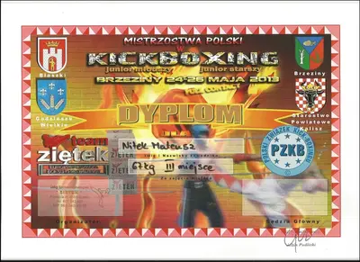 Dyplom OSKB 2013 - 06 nitekIII