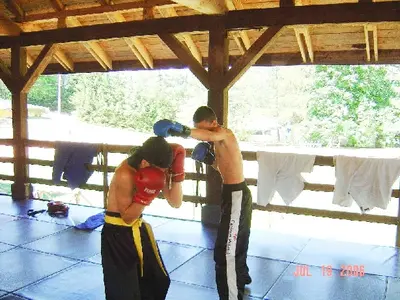 OSKB 2006 - 81850056
