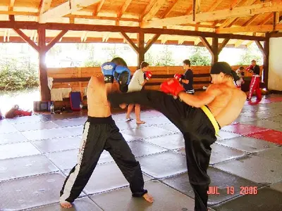 OSKB 2006 - 81850074