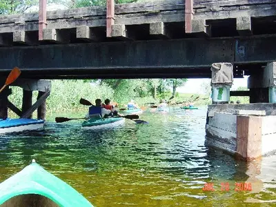 OSKB 2006 - 81850093