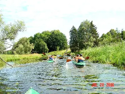 OSKB 2006 - 81850094