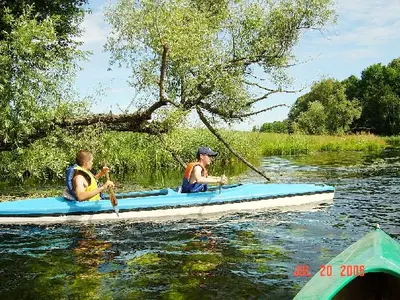 OSKB 2006 - 81850095