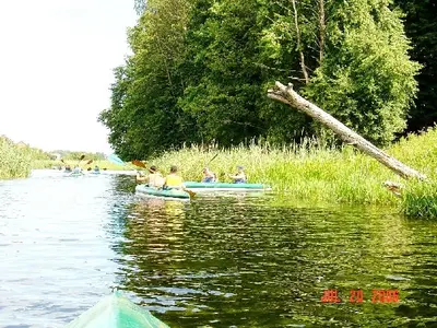 OSKB 2006 - 81850096