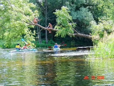 OSKB 2006 - 81850100