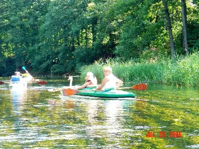 OSKB 2006 - 81850101