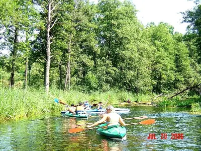 OSKB 2006 - 81850103