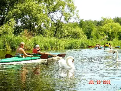 OSKB 2006 - 81850105