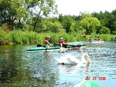 OSKB 2006 - 81850106