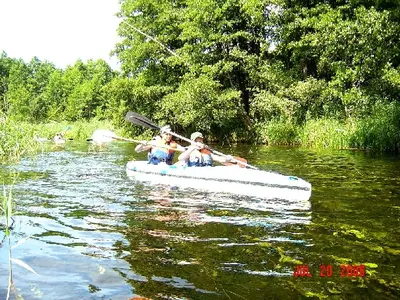 OSKB 2006 - 81850116