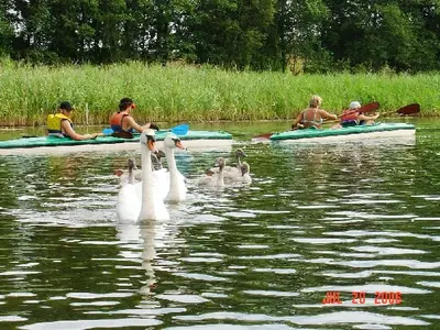 OSKB 2006 - 81850133