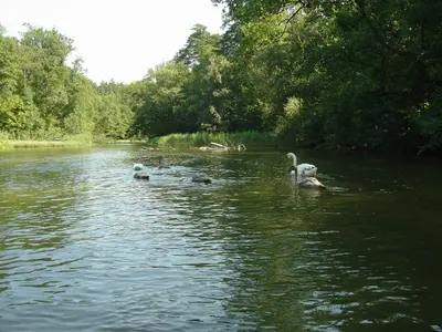 OSKB 2007 - DSC00140