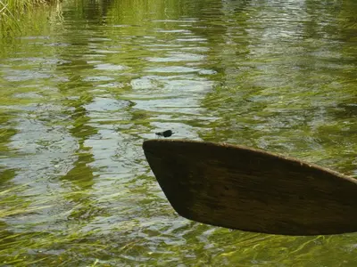 OSKB 2007 - DSC00188
