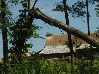 OSKB 2007 - DSC00252