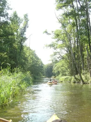 OSKB 2007 - DSC00260