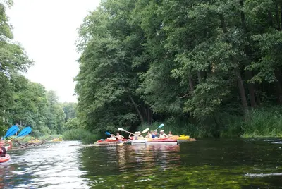 OSKB 2008 - DSC03752